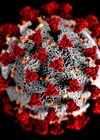 Coronavirus image 