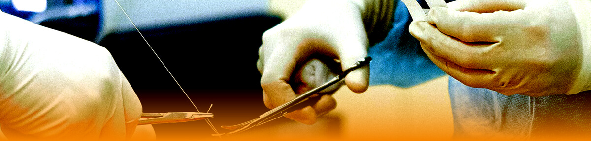 The PMFA Journal article header graphic