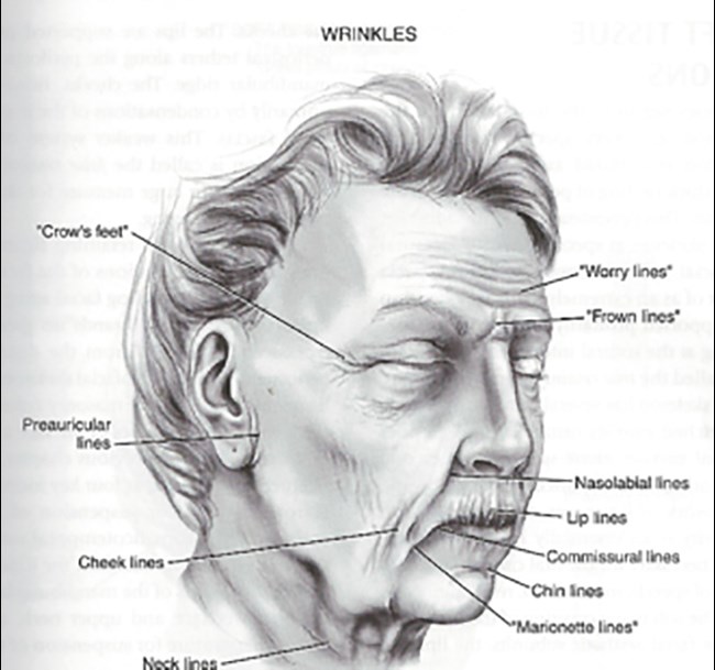 Classical Facelift A Modern British Perspective The Pmfa Journal