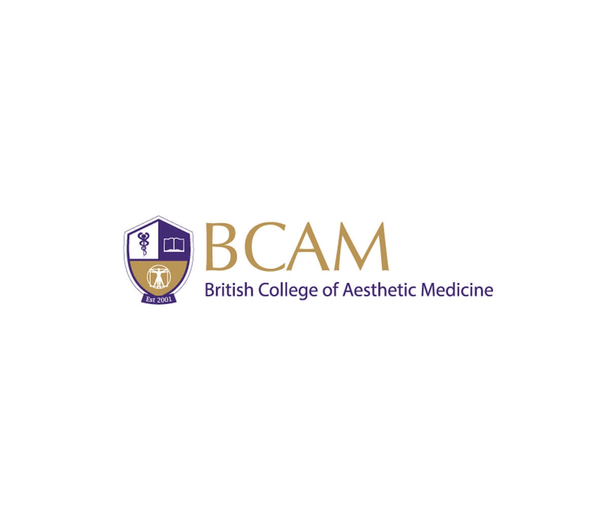 BCAM logo image (smaller).
