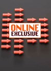 Photograph of arrows with Online Exclusive stamp.