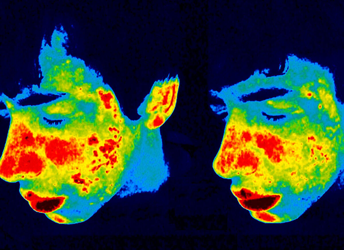 Image showing inflammatory evaluation before and after the combined treatment.