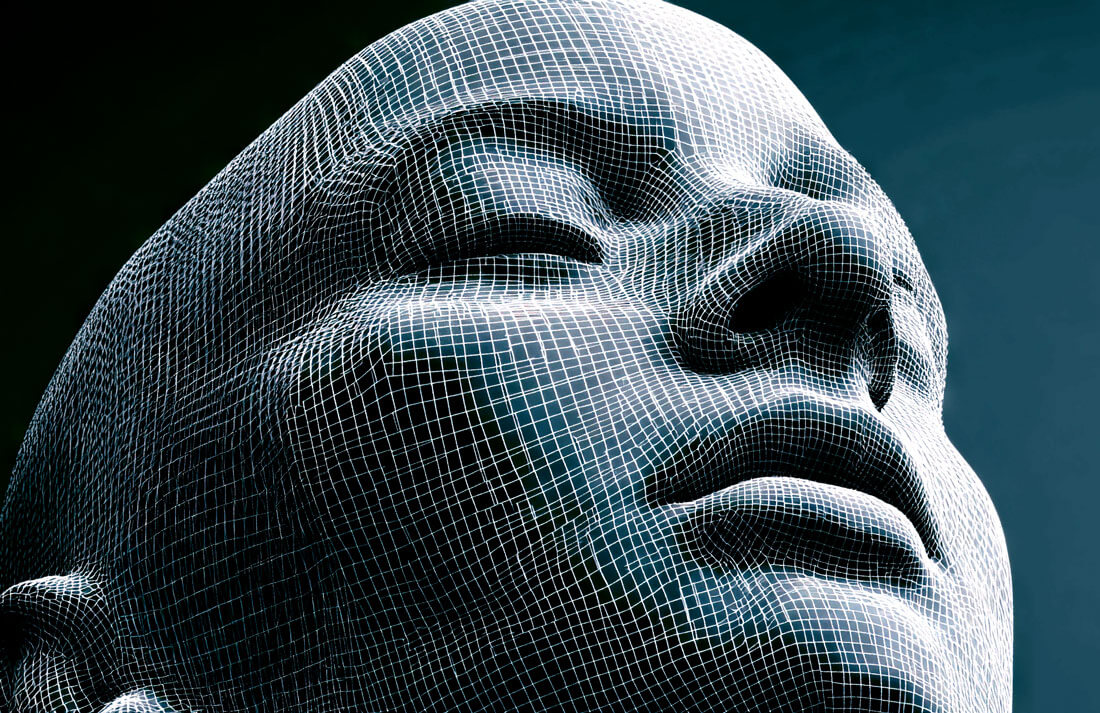 Image of human head in grid form.