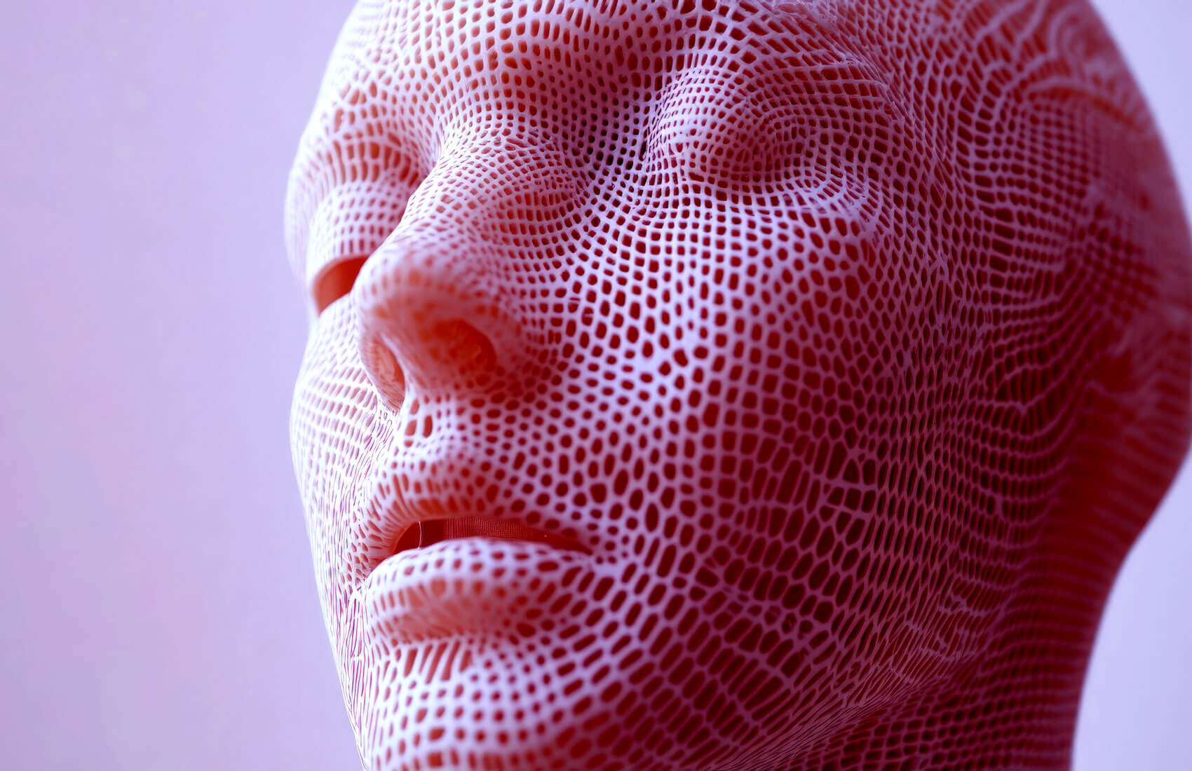 Image of human head in grid form.